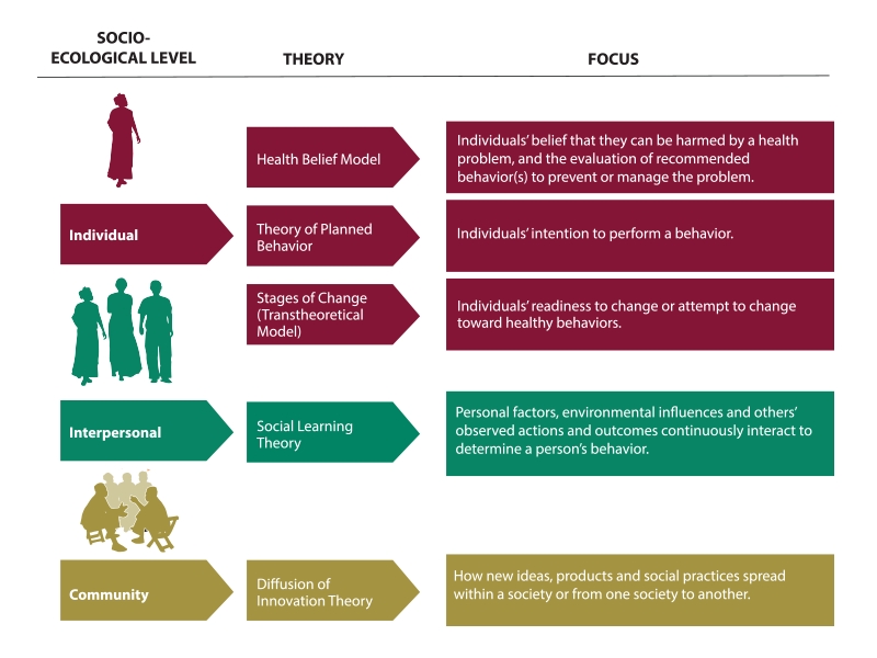socio ecological approach