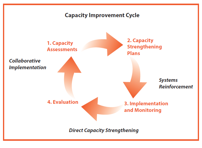 Assessment of capacity building requirements for an effective and